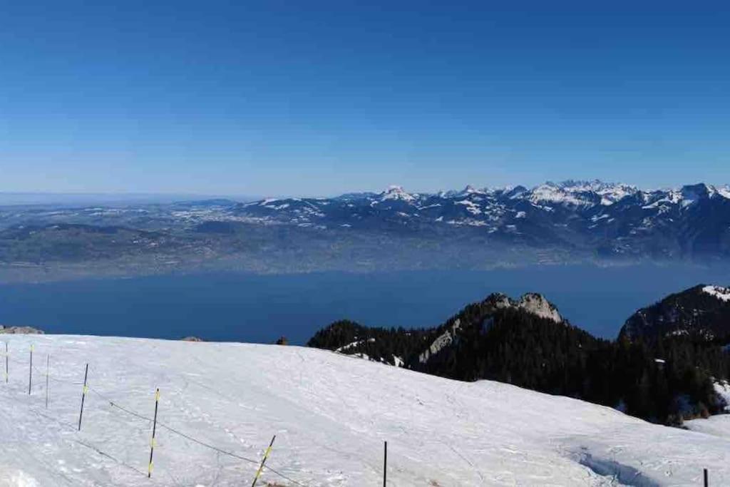 Studio Myrtilles Du Leman Vue Sur Lac Et Montagne Thollon-les-Memises Eksteriør billede