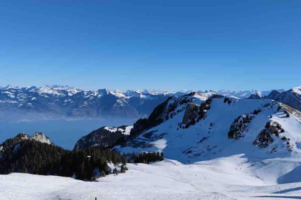 Studio Myrtilles Du Leman Vue Sur Lac Et Montagne Thollon-les-Memises Eksteriør billede