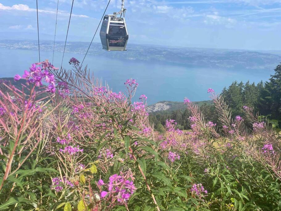Studio Myrtilles Du Leman Vue Sur Lac Et Montagne Thollon-les-Memises Eksteriør billede