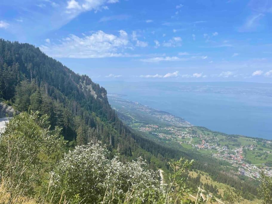 Studio Myrtilles Du Leman Vue Sur Lac Et Montagne Thollon-les-Memises Eksteriør billede